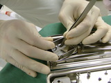 517d5985.jpg