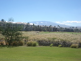 57a76482.jpg