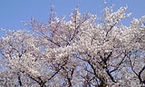 6eb37f38.jpg