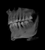 80f1d553.jpg