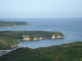 810c6d75.jpg