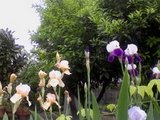 8d1f6b25.jpg