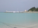 b564c423.jpg