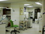 ce36b888.jpg