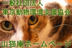 miyo