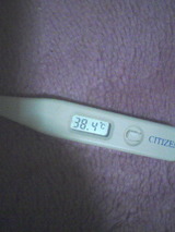 1cdc6528.jpg