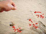 BlogPaint