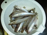 P9270006