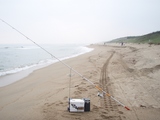 hojo