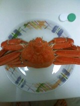 kani