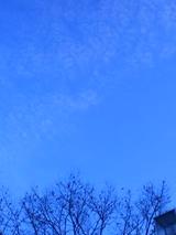 c7330b59.JPG