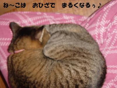 DSC01639
