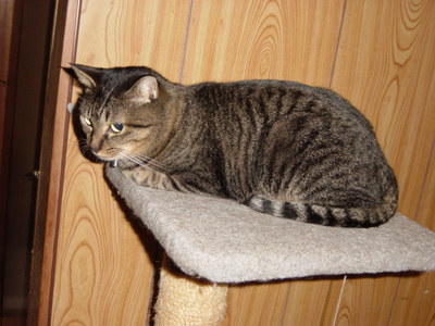 DSC01629