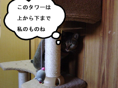 BlogPaint