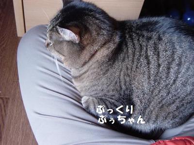 DSC01640