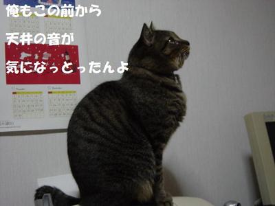 DSC01630