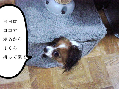 BlogPaint