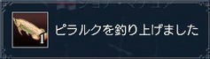 ピラルクとは?