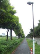97c7eb62.jpg
