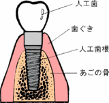 ���������ݣ�