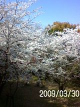 a1219a08.jpg