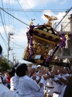 ほうり@四ヶ町祭り2007:欠真間〜香取 ほうり@四ヶ町祭り2007:欠真間〜香取