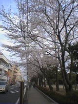 �s���w�O�����̍�20060328����3