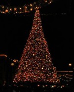 TDL�c���[