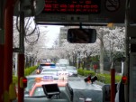 �Y���E����̍�2007����1