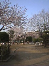 �s���w�O�����̍�20060328