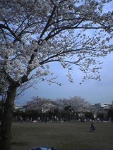 �s���w�O�����̍�20060328����2