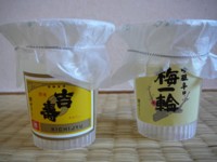 �I�����_�Ǝs�얭�T�X3