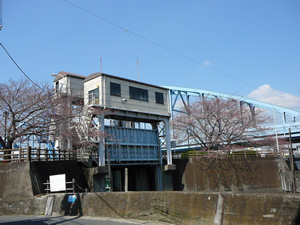 浦安水門の桜20080325 浦安水門の桜20080325