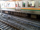 211�� �񹳴�