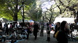 20091011141458