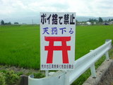 コワいっす…