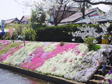 ������Ǻ��ʣ���