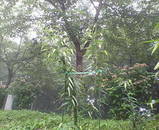 6c6d80f7.jpg