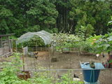 �ߤ������ʣ���