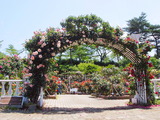 �Ф饢����