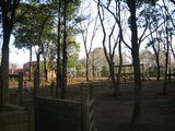 ���餯����