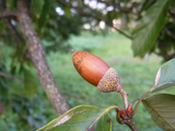 P1000930