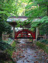 YAHIKO060