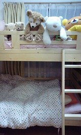 2490cf21.jpg