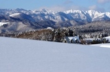 雪だより