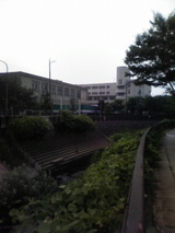全景