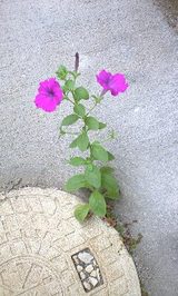 0e1f5673.jpg