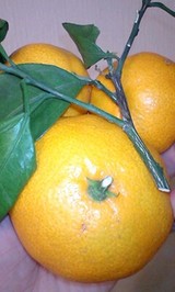 142f02e8.jpg
