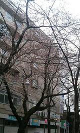 7ec87e1a.jpg