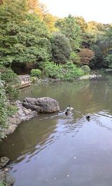 8c0761f5.jpg